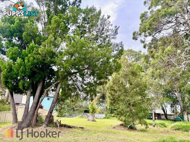 38 Mango Crescent MACLEAY ISLAND QLD 4184