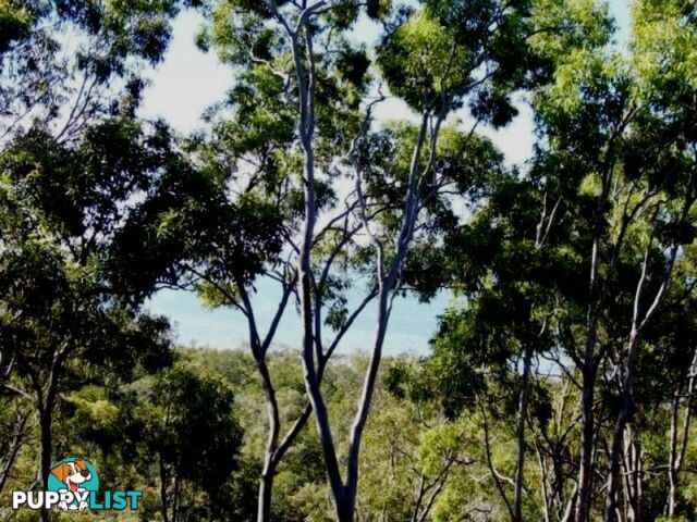 36 Blue Waters Crescent MACLEAY ISLAND QLD 4184