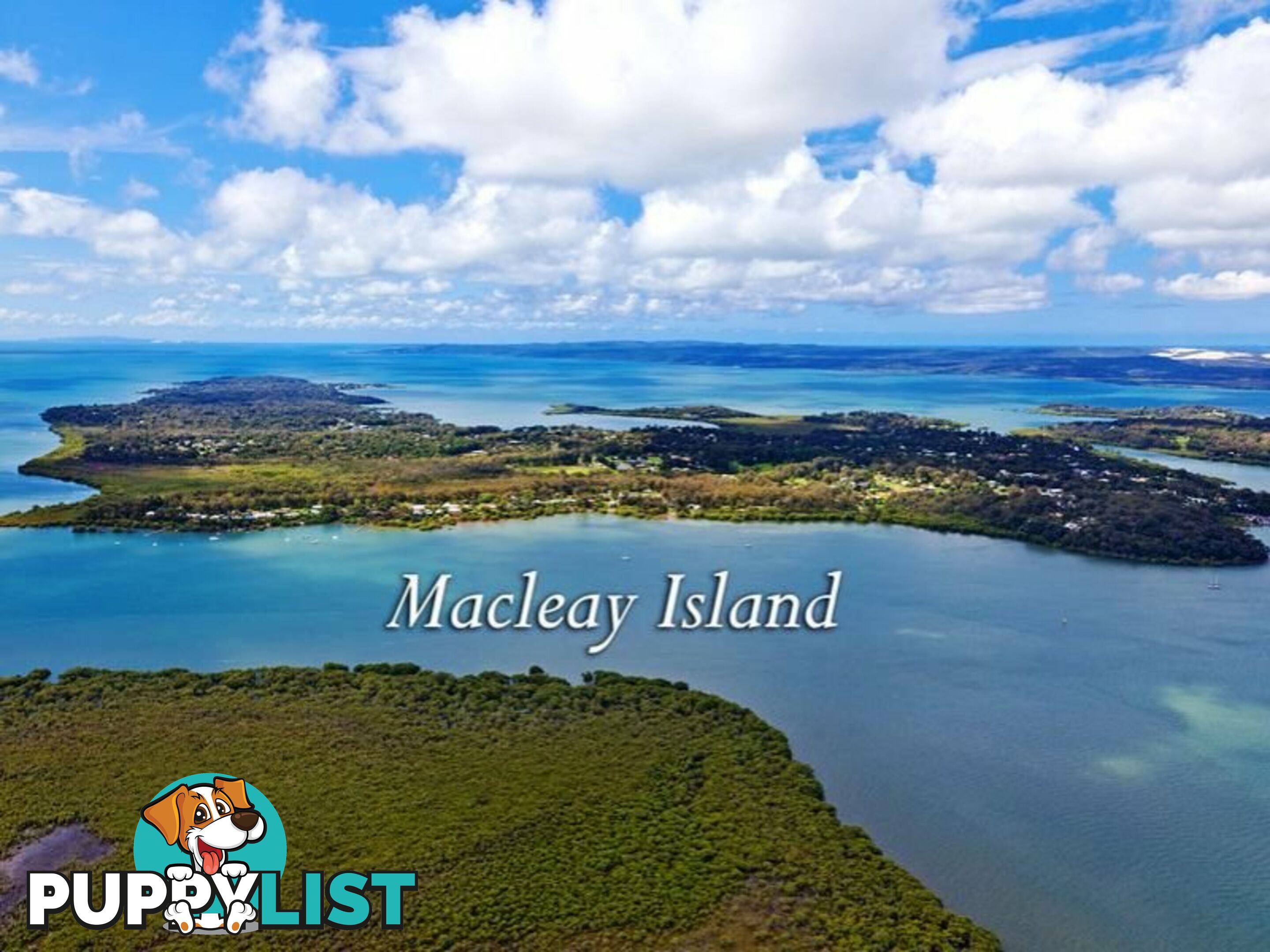 36 Blue Waters Crescent MACLEAY ISLAND QLD 4184