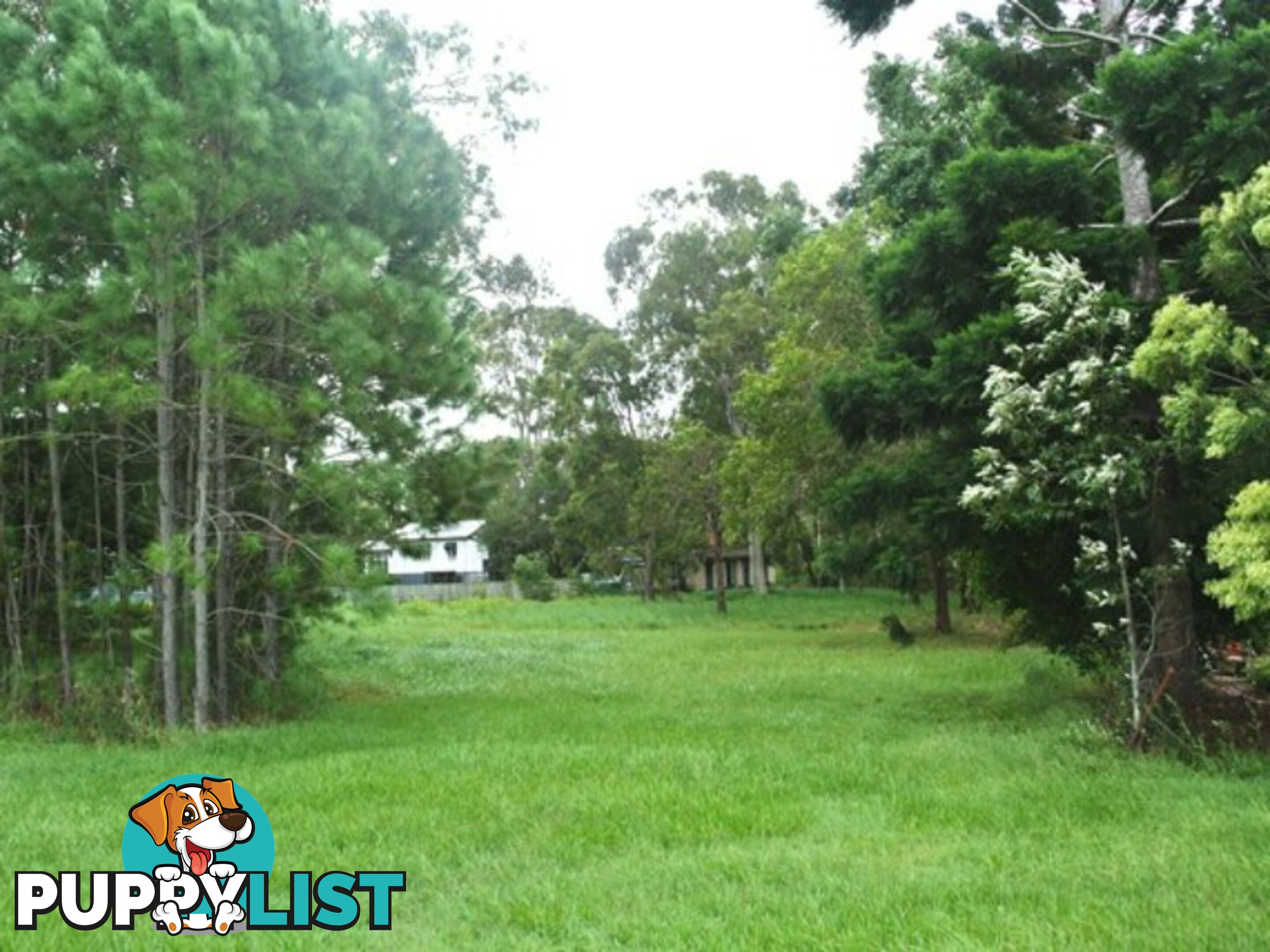 23 Betty Street MACLEAY ISLAND QLD 4184