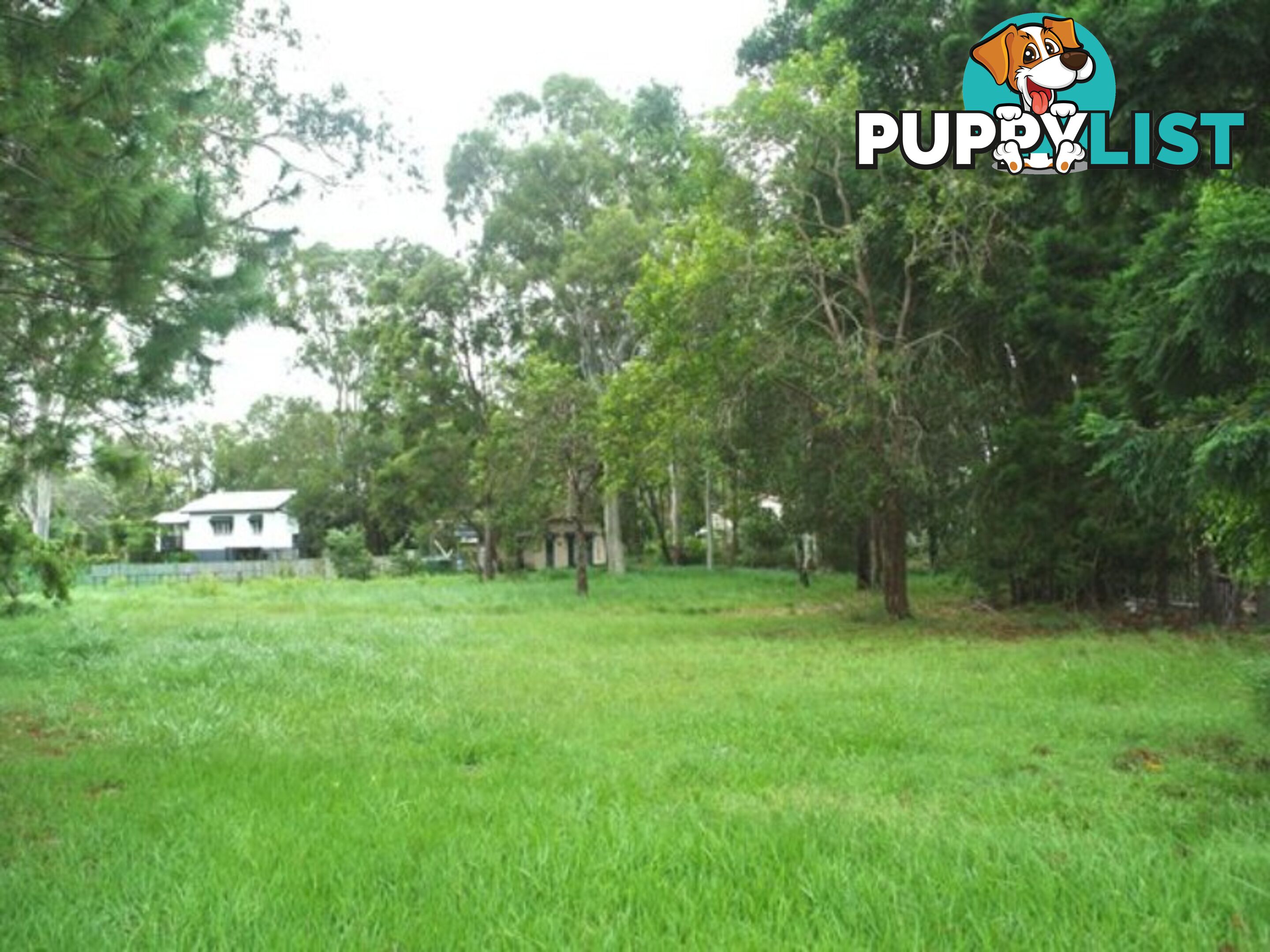 23 Betty Street MACLEAY ISLAND QLD 4184