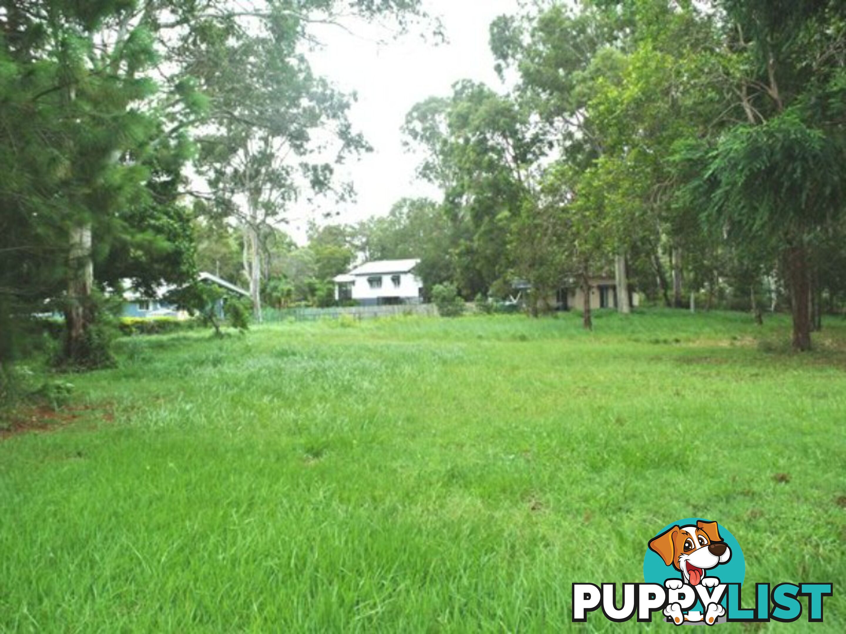 23 Betty Street MACLEAY ISLAND QLD 4184