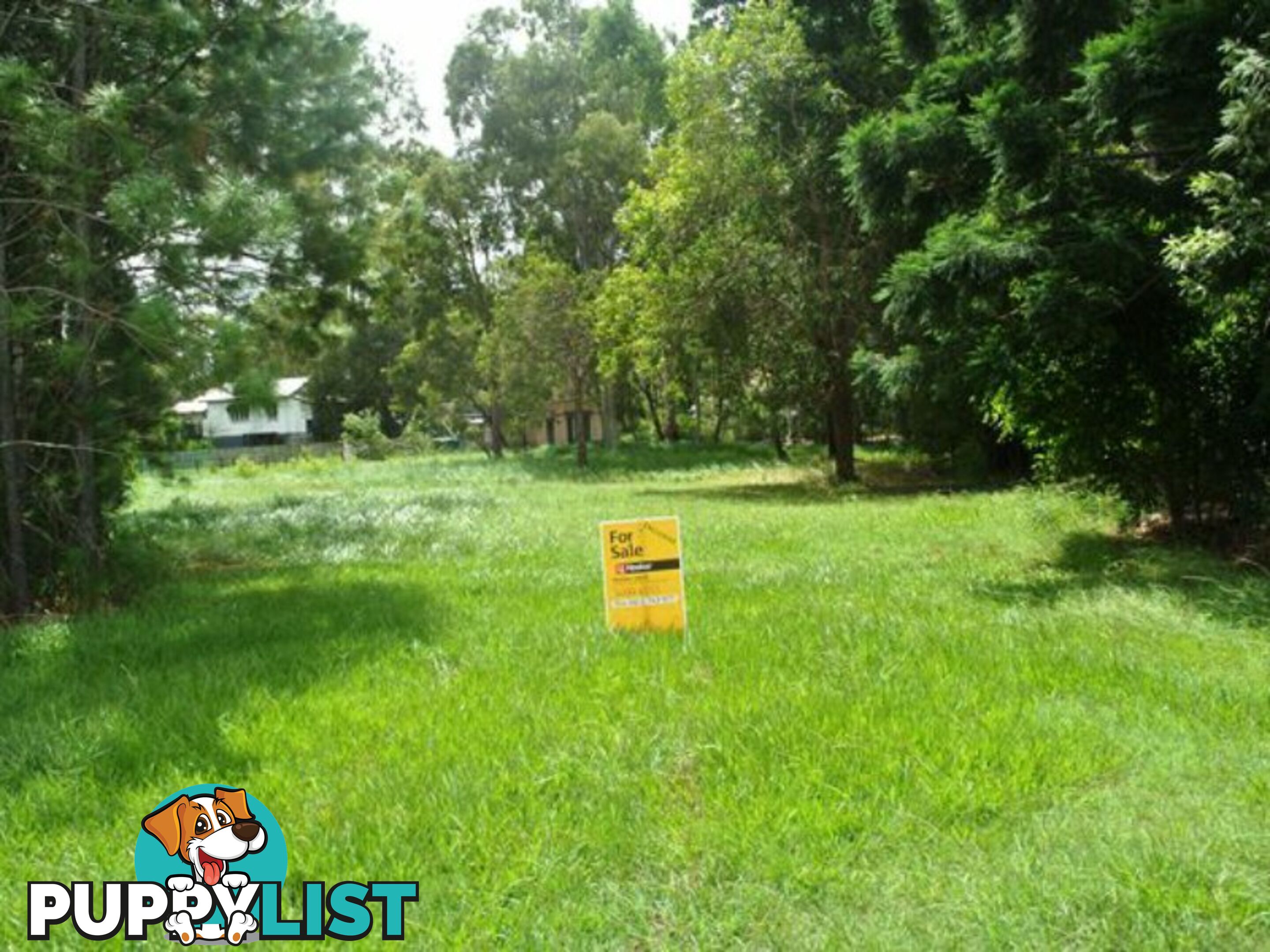 23 Betty Street MACLEAY ISLAND QLD 4184