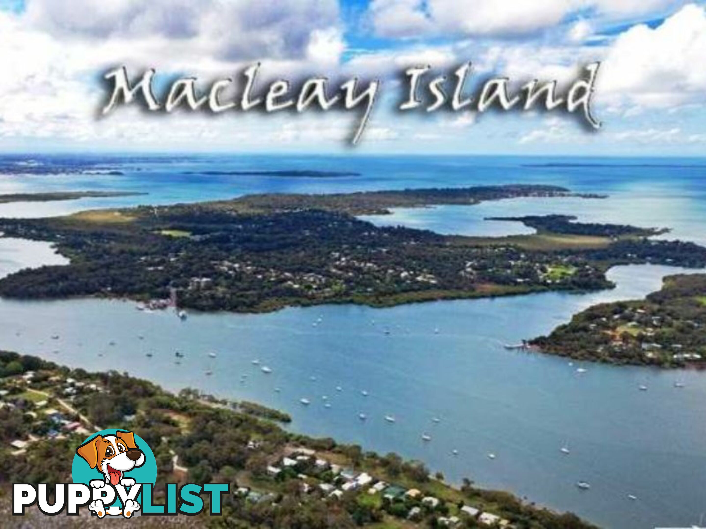 23 Betty Street MACLEAY ISLAND QLD 4184