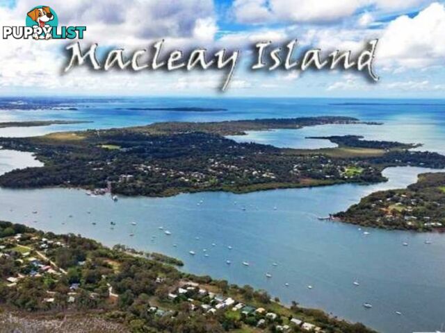 23 Betty Street MACLEAY ISLAND QLD 4184