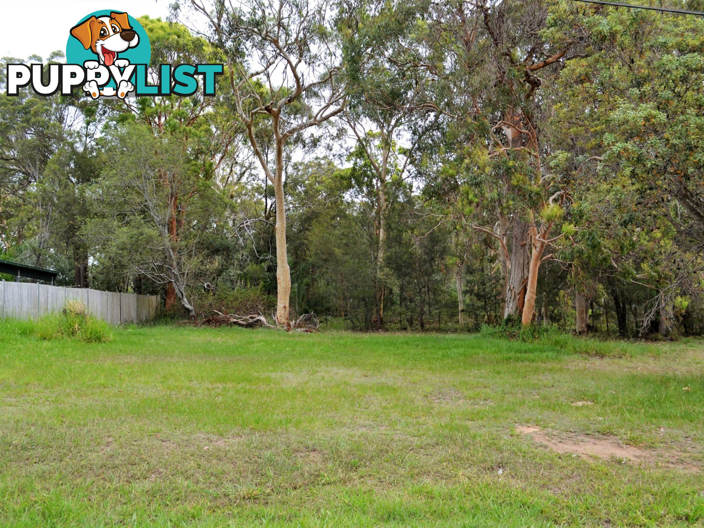 8 Barramundi Street MACLEAY ISLAND QLD 4184