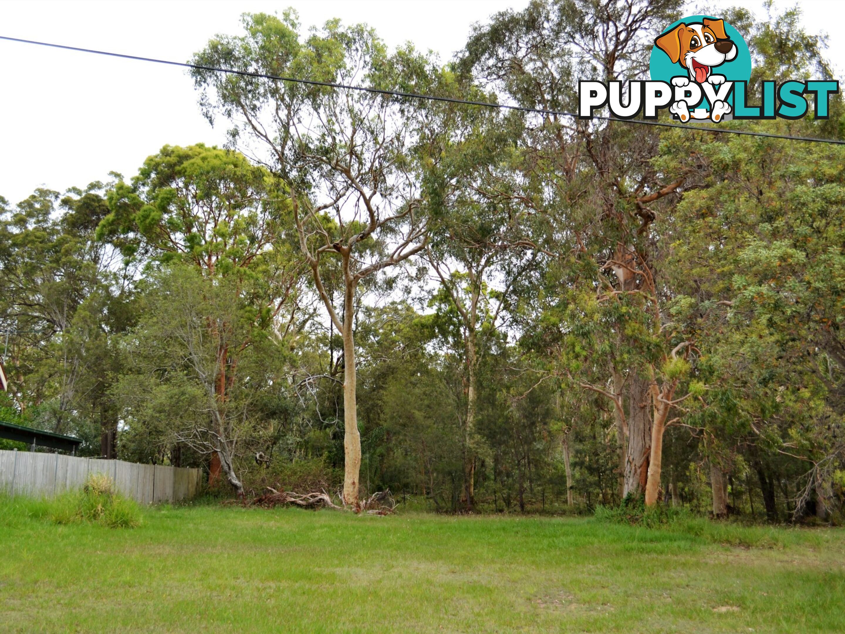8 Barramundi Street MACLEAY ISLAND QLD 4184