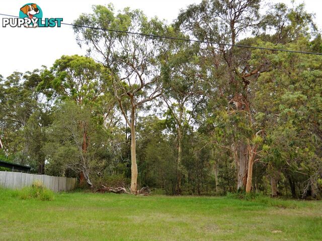 8 Barramundi Street MACLEAY ISLAND QLD 4184