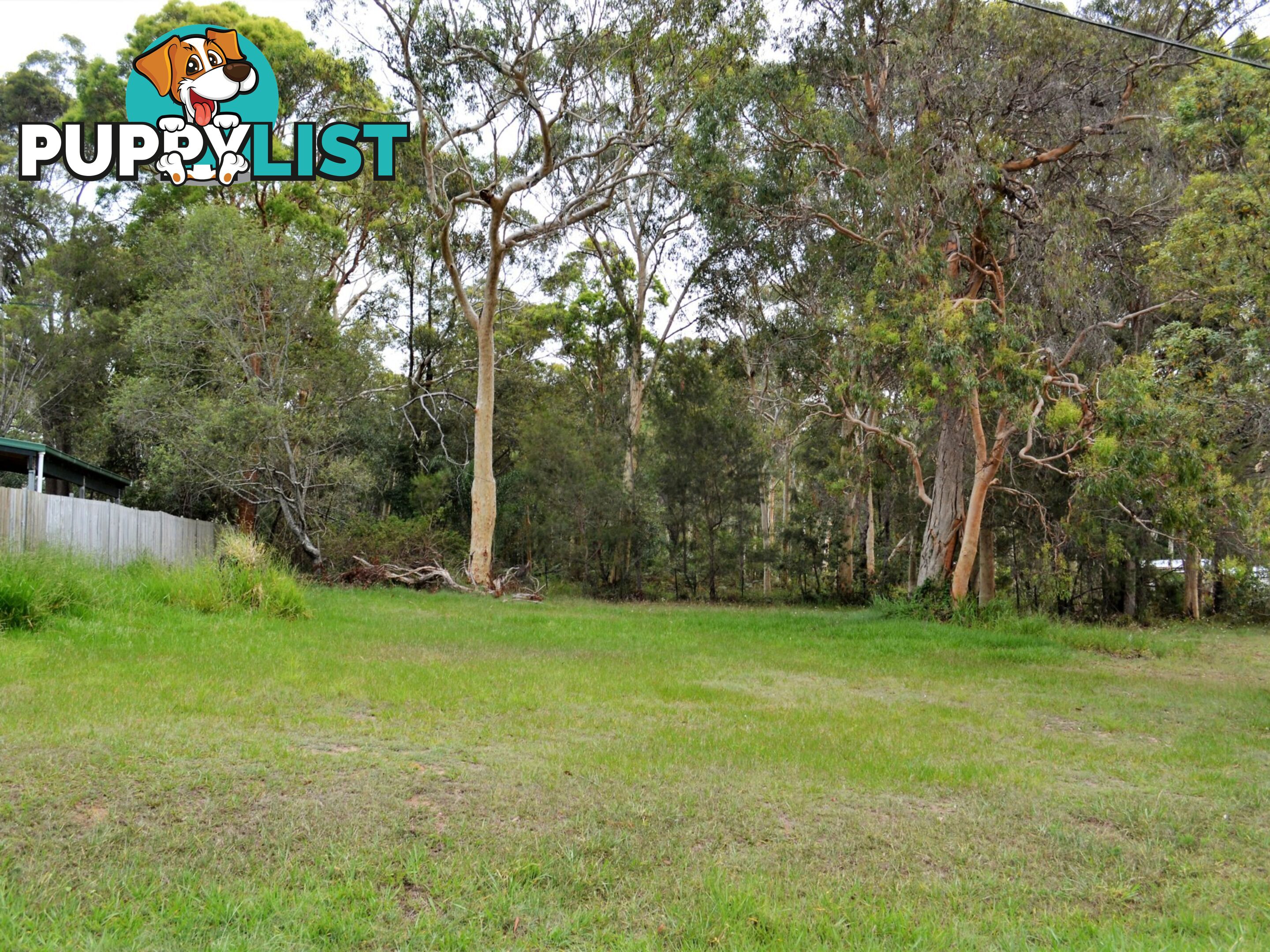 8 Barramundi Street MACLEAY ISLAND QLD 4184