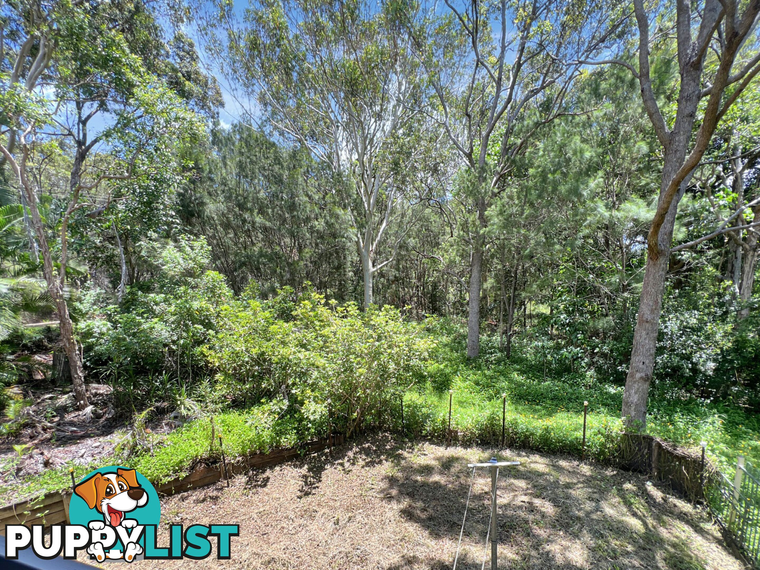 21 Ashton Street MACLEAY ISLAND QLD 4184