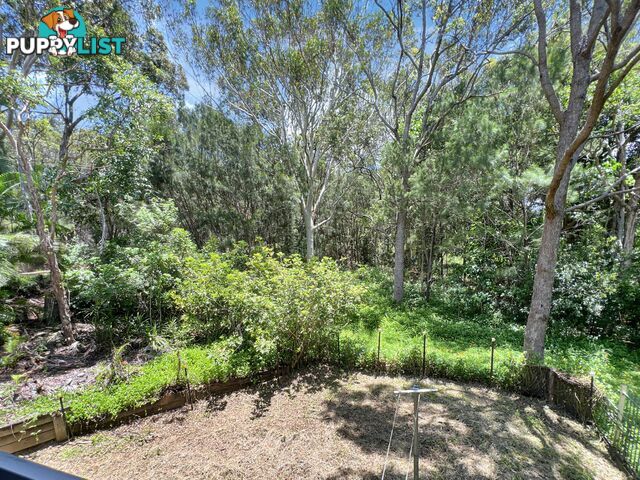 21 Ashton Street MACLEAY ISLAND QLD 4184