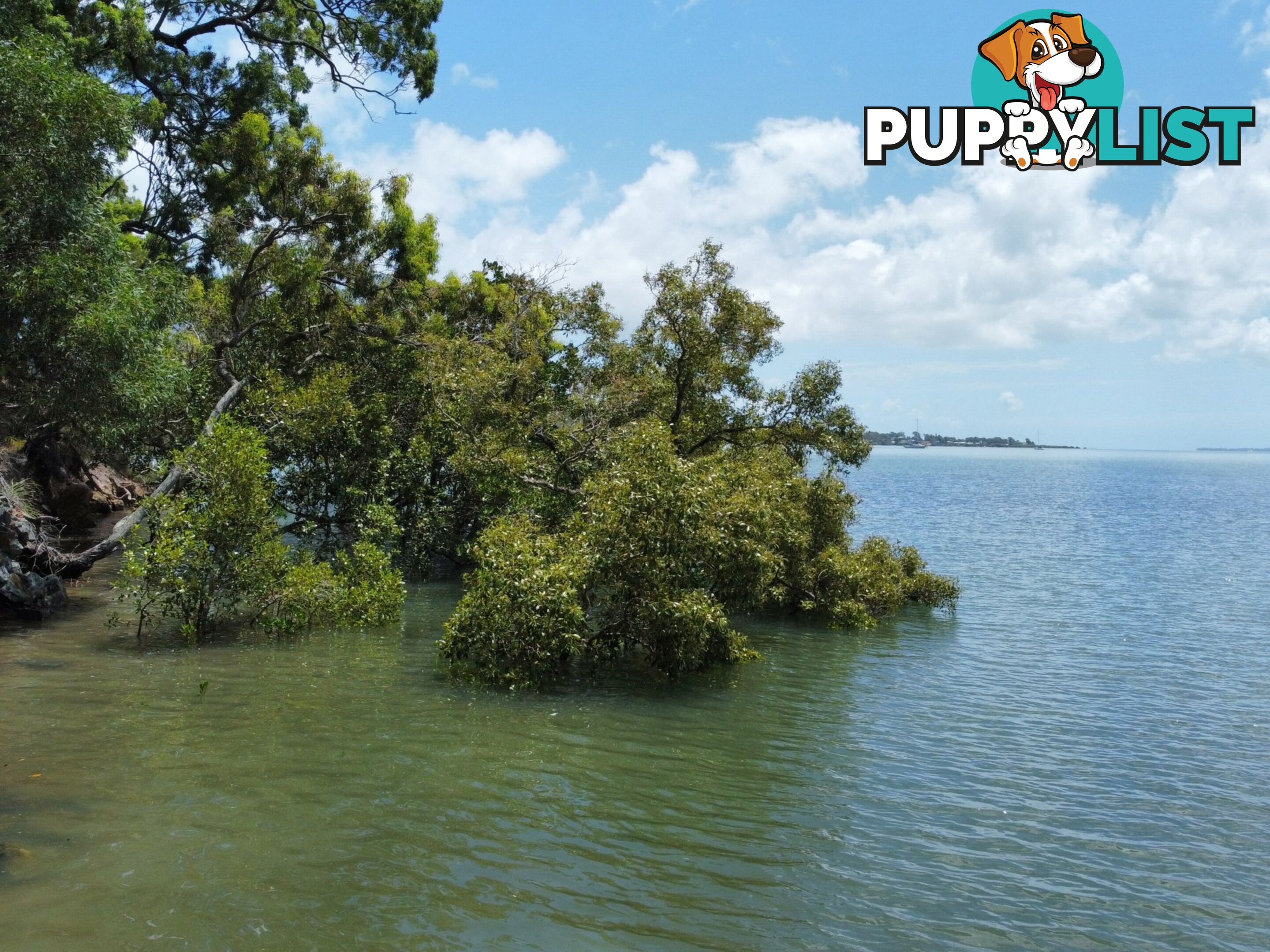 72 Timothy Street MACLEAY ISLAND QLD 4184