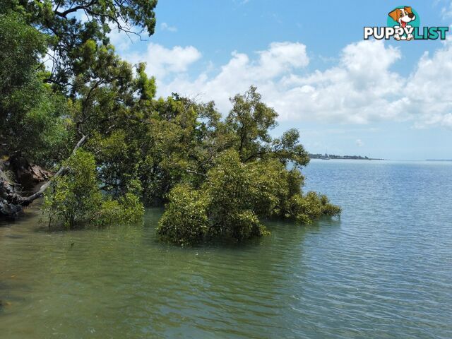 72 Timothy Street MACLEAY ISLAND QLD 4184