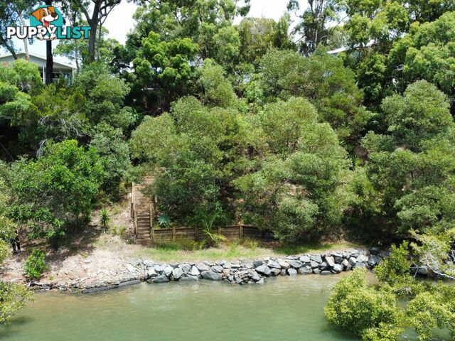 72 Timothy Street MACLEAY ISLAND QLD 4184