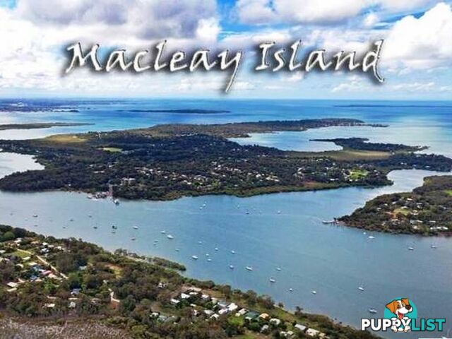 15 Wirralee Street MACLEAY ISLAND QLD 4184