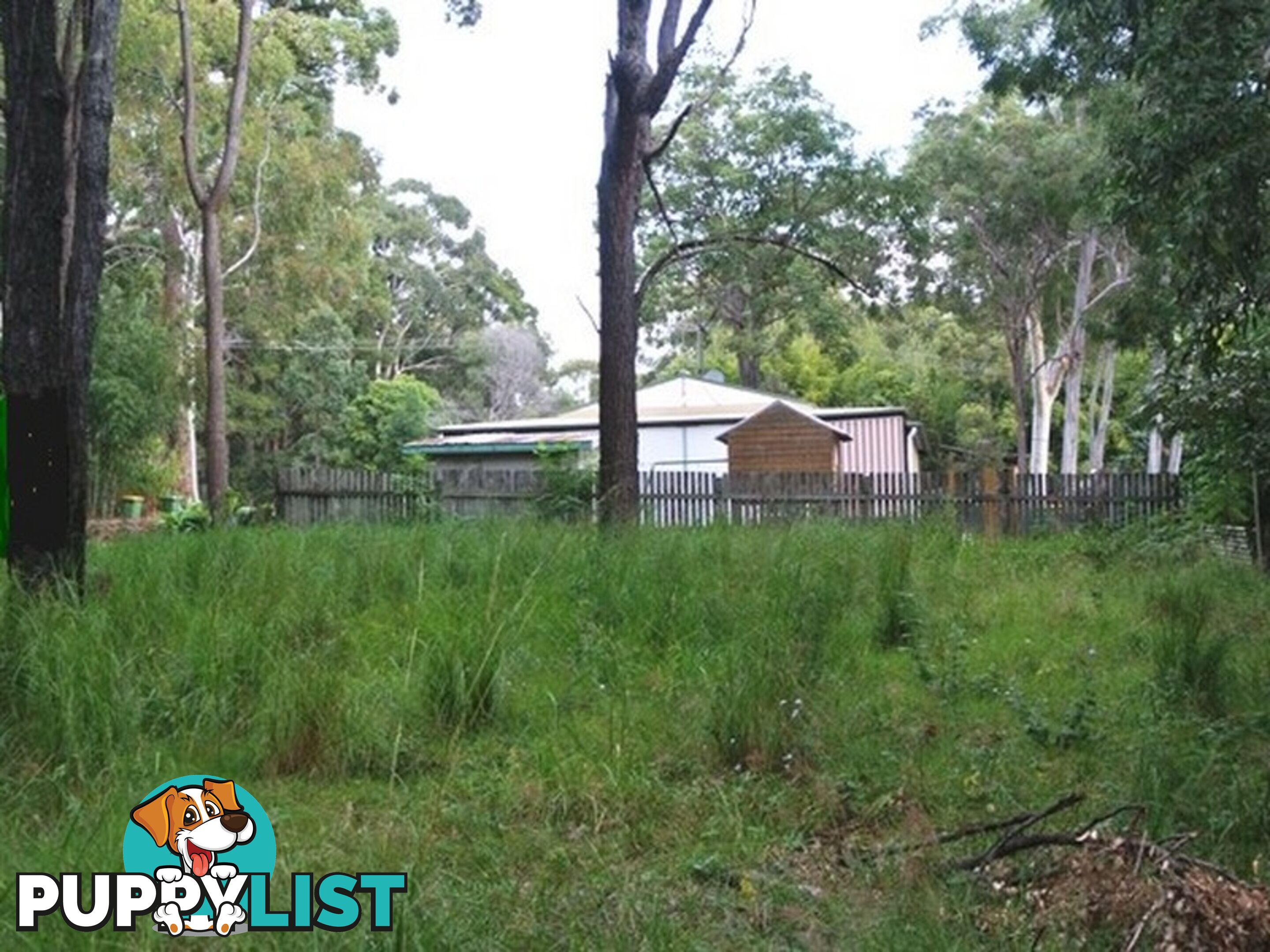 28 Noogie Street MACLEAY ISLAND QLD 4184