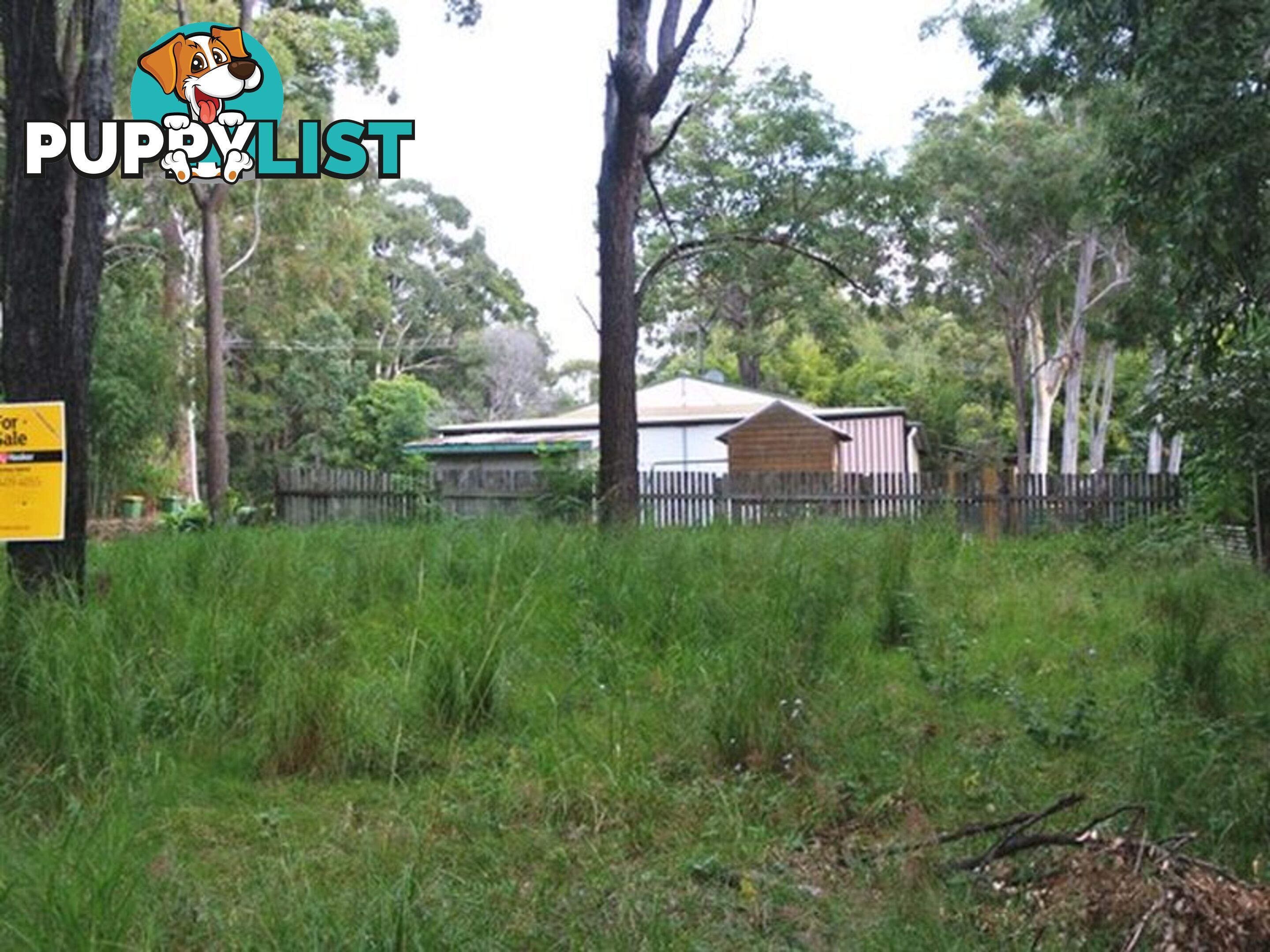 28 Noogie Street MACLEAY ISLAND QLD 4184