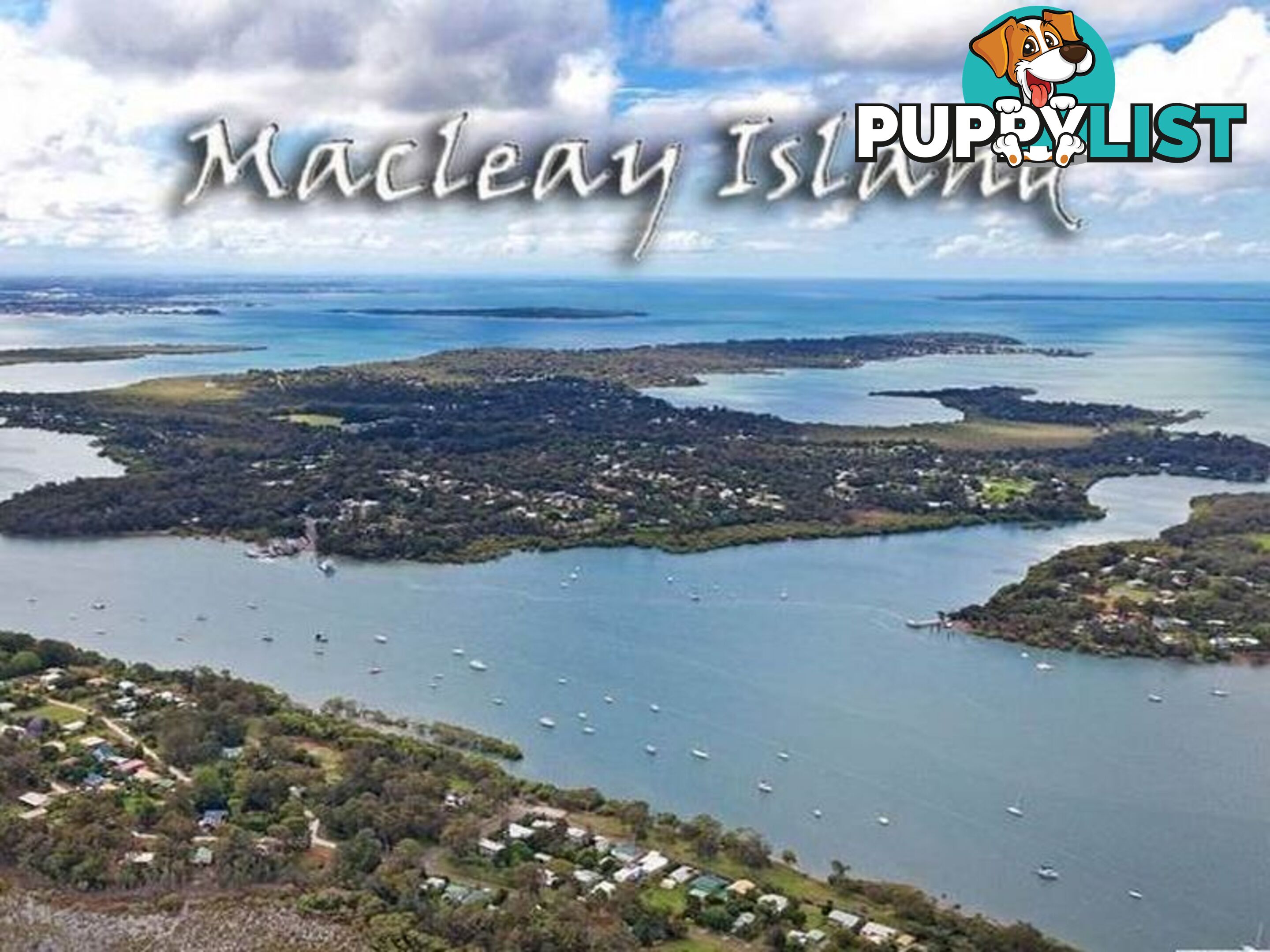 28 Noogie Street MACLEAY ISLAND QLD 4184