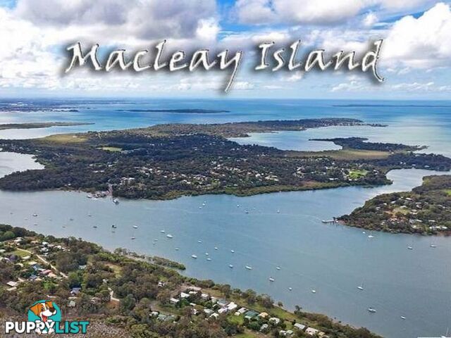 28 Noogie Street MACLEAY ISLAND QLD 4184