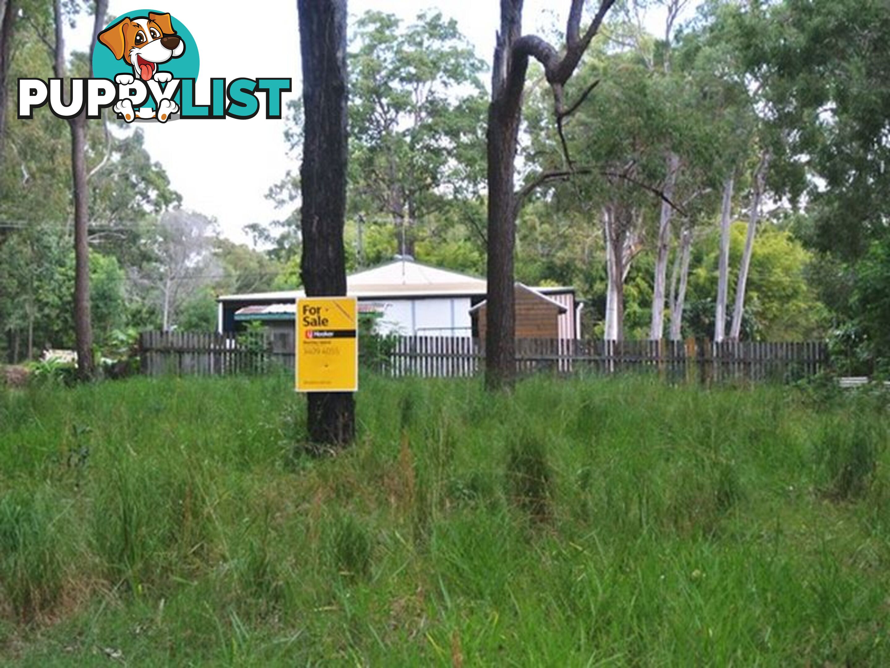 28 Noogie Street MACLEAY ISLAND QLD 4184