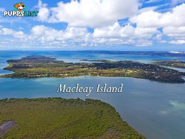 7 President Terrace MACLEAY ISLAND QLD 4184