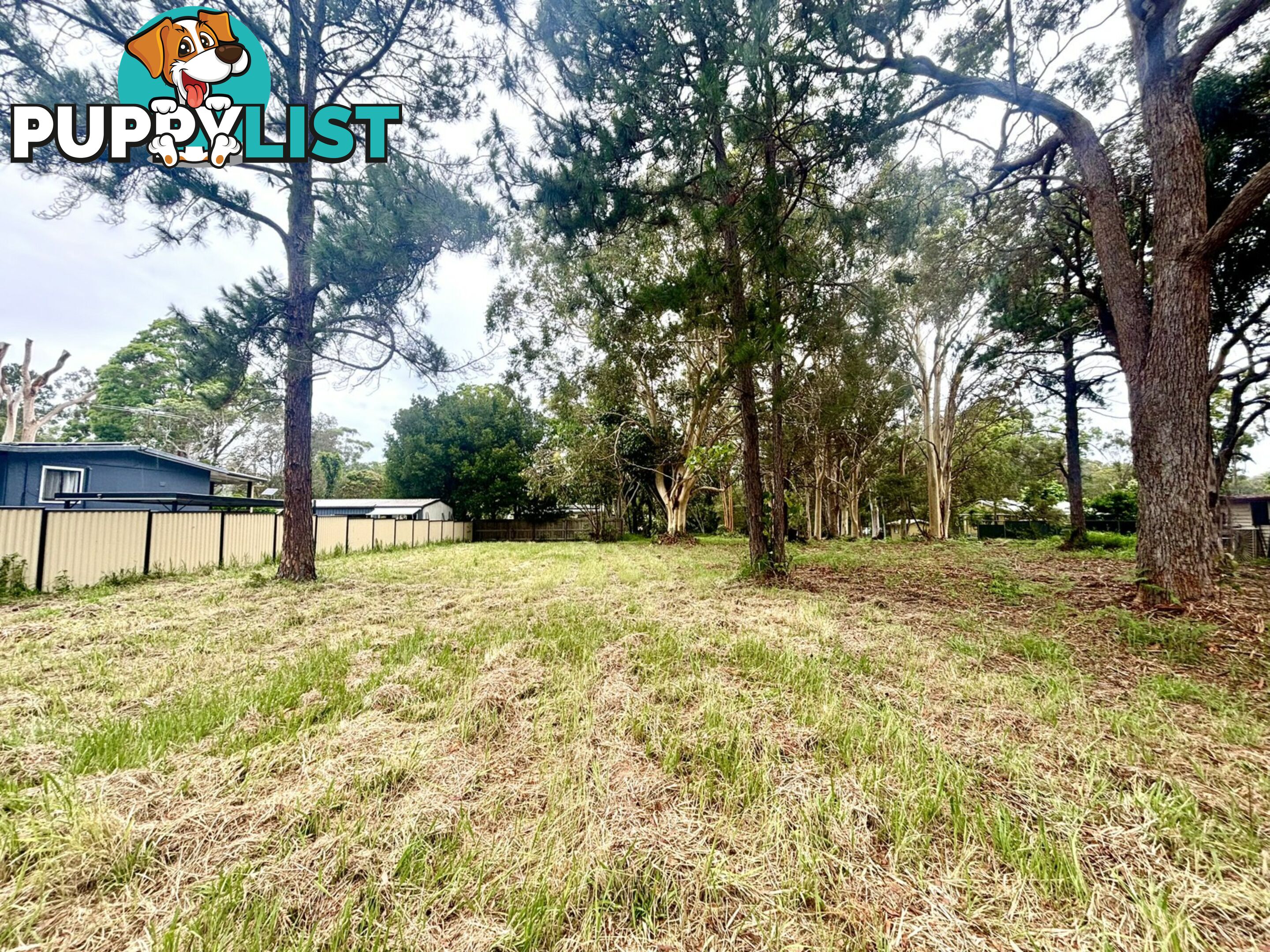 6 Robin Street MACLEAY ISLAND QLD 4184