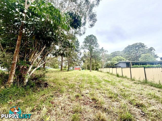 6 Robin Street MACLEAY ISLAND QLD 4184