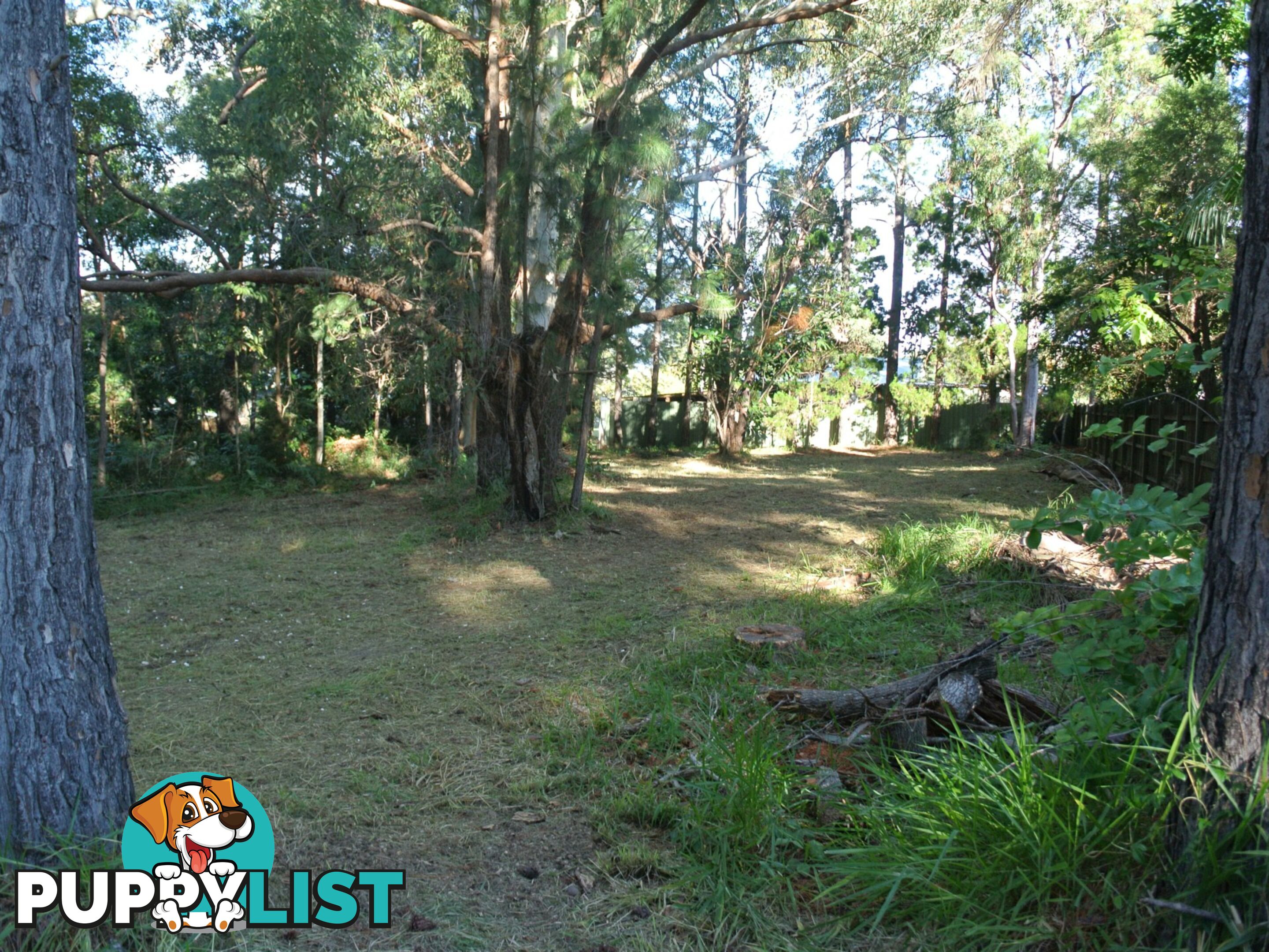 22 Marine Street MACLEAY ISLAND QLD 4184