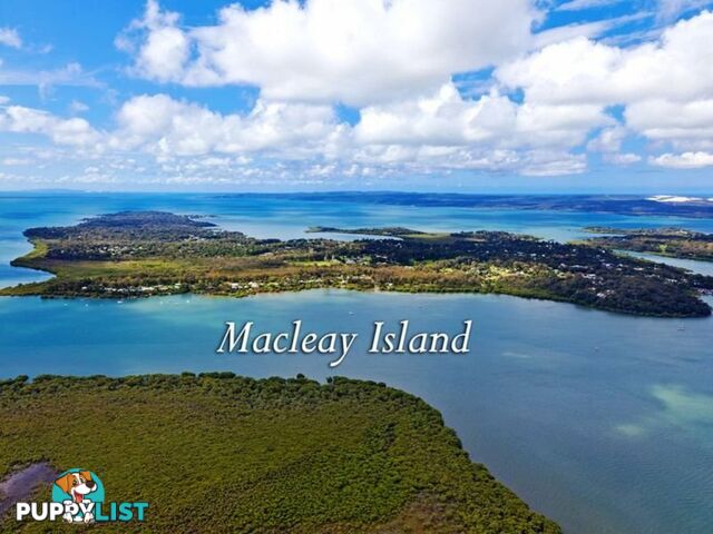 8 Eastbourne Terrace MACLEAY ISLAND QLD 4184