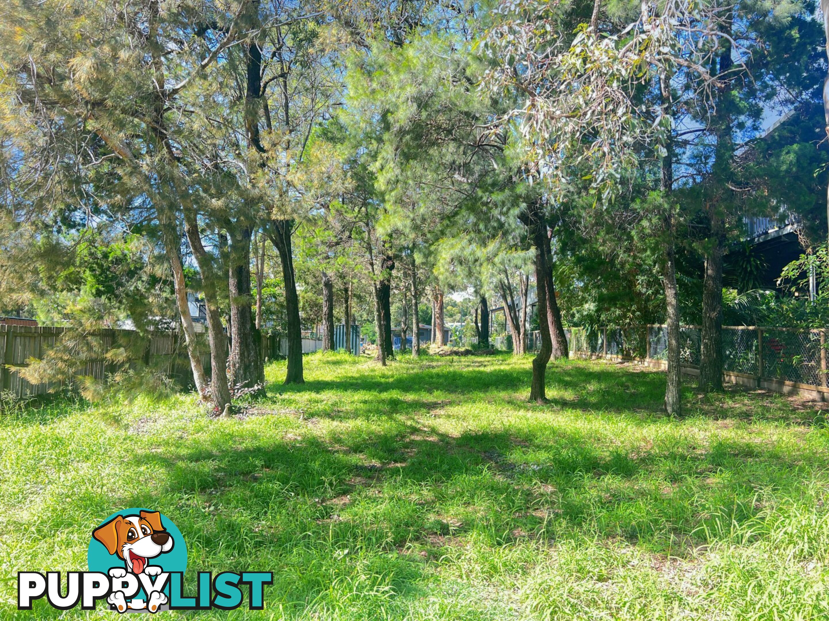 8 Attunga Street MACLEAY ISLAND QLD 4184