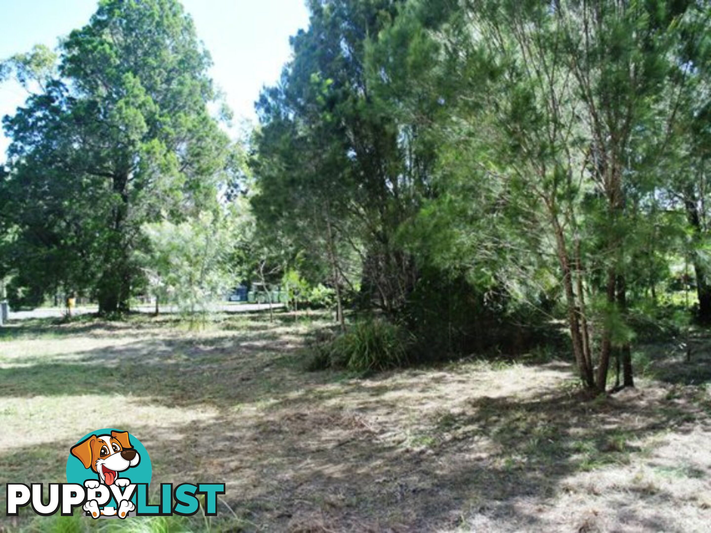 164 High Central Road MACLEAY ISLAND QLD 4184