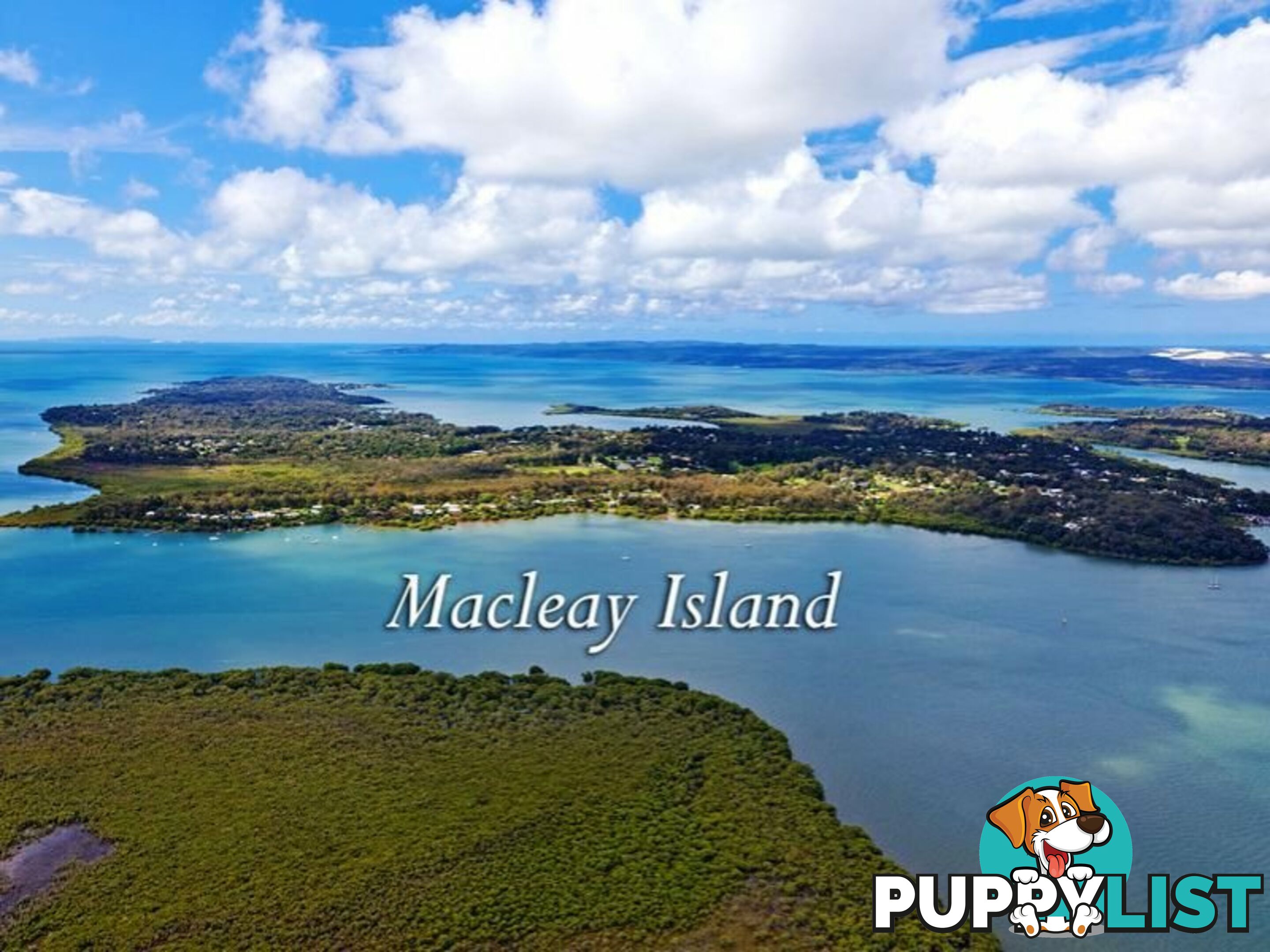 222 Kate Street MACLEAY ISLAND QLD 4184