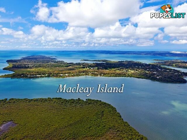 222 Kate Street MACLEAY ISLAND QLD 4184