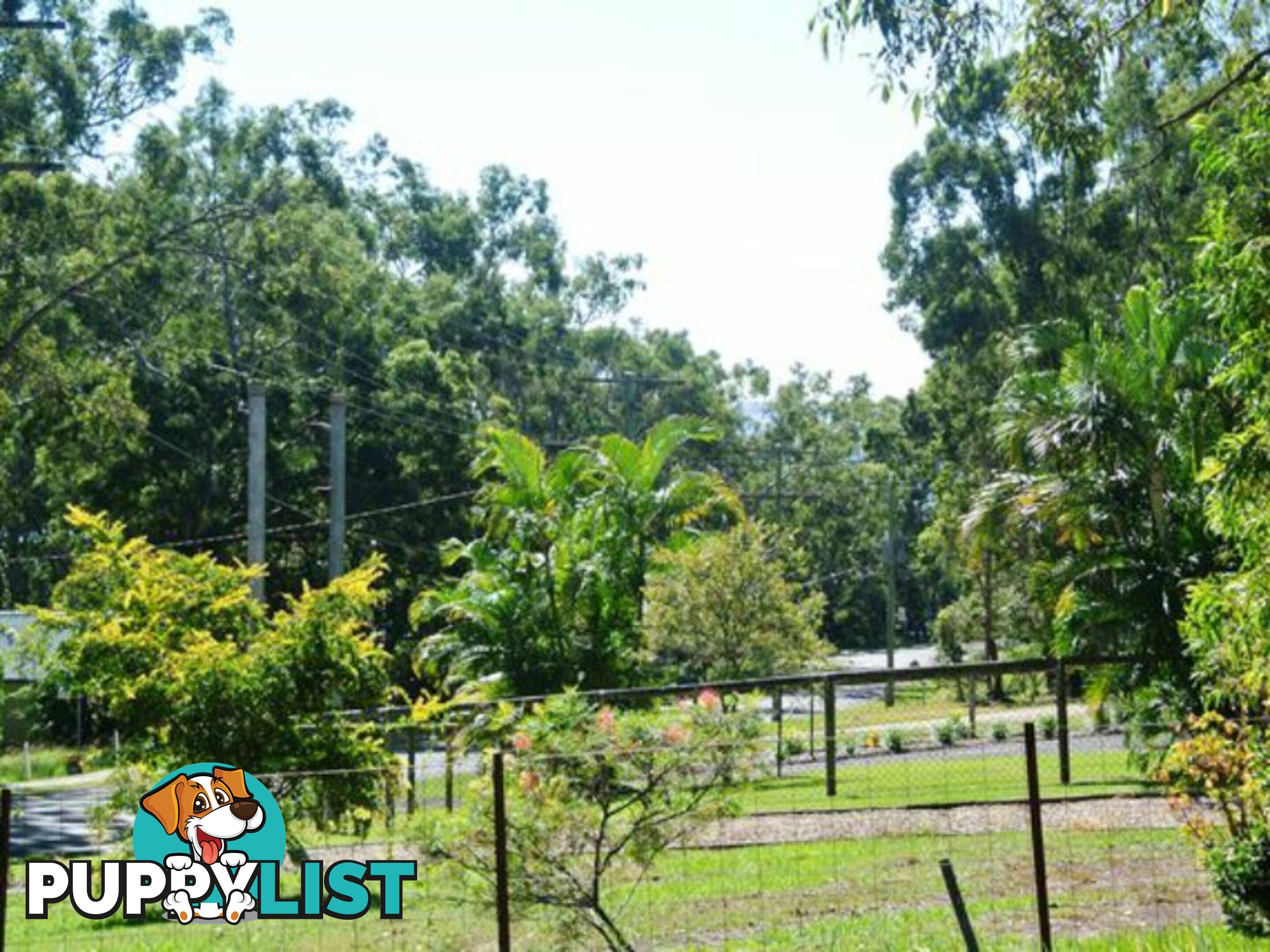 222 Kate Street MACLEAY ISLAND QLD 4184