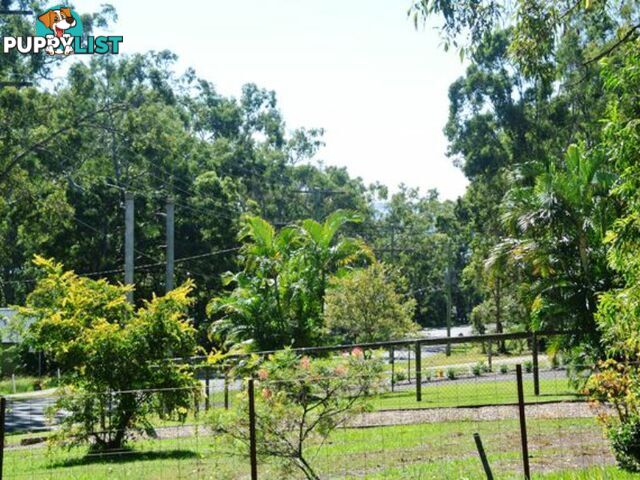 222 Kate Street MACLEAY ISLAND QLD 4184