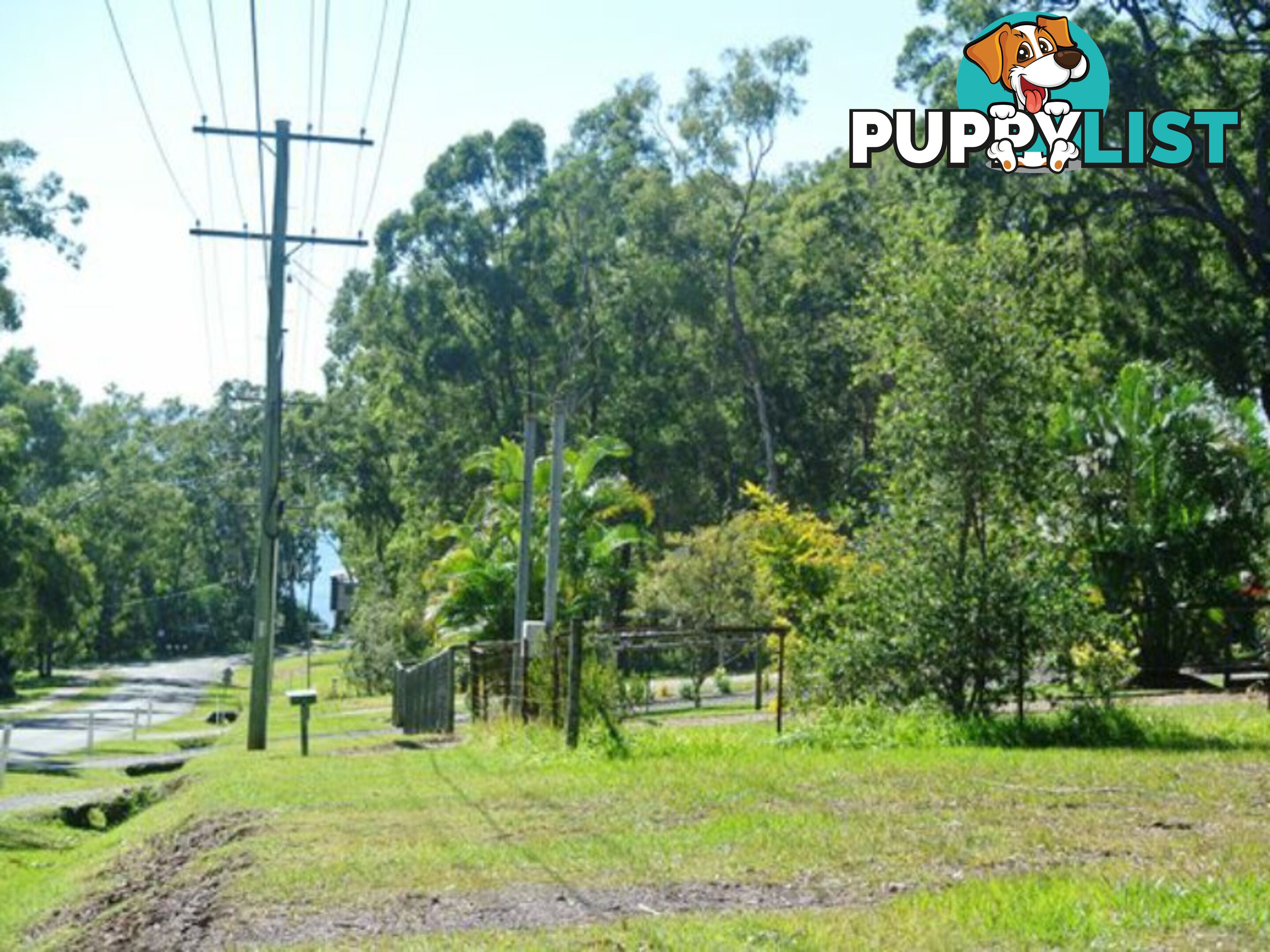 222 Kate Street MACLEAY ISLAND QLD 4184