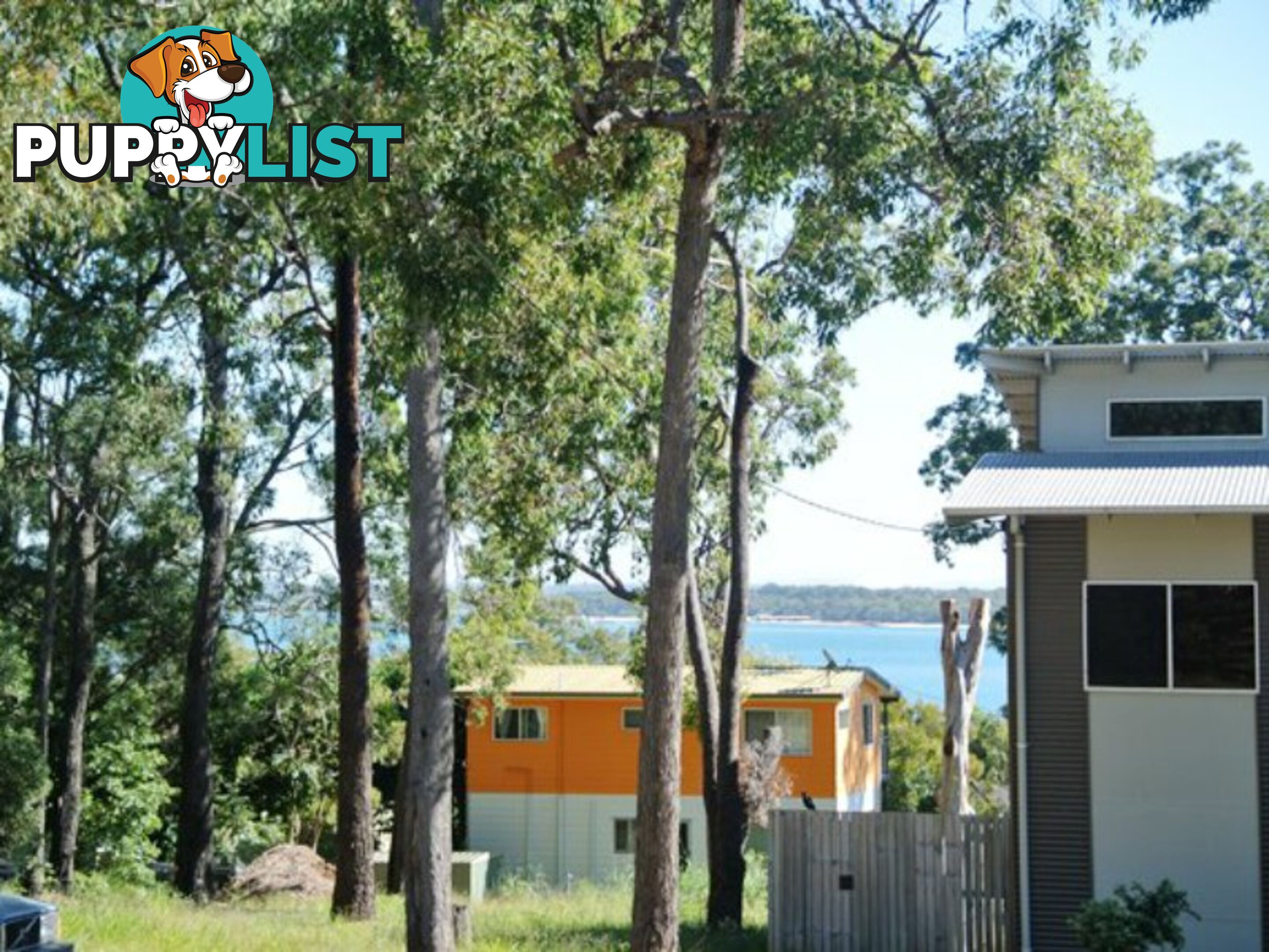 222 Kate Street MACLEAY ISLAND QLD 4184