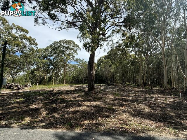 16 Wirralee Street MACLEAY ISLAND QLD 4184