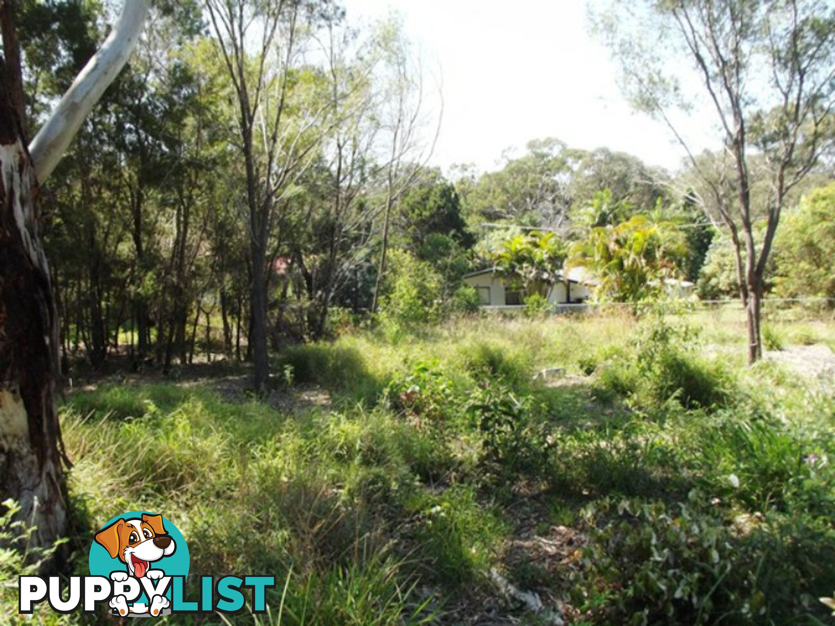 114-116 High Central Road MACLEAY ISLAND QLD 4184