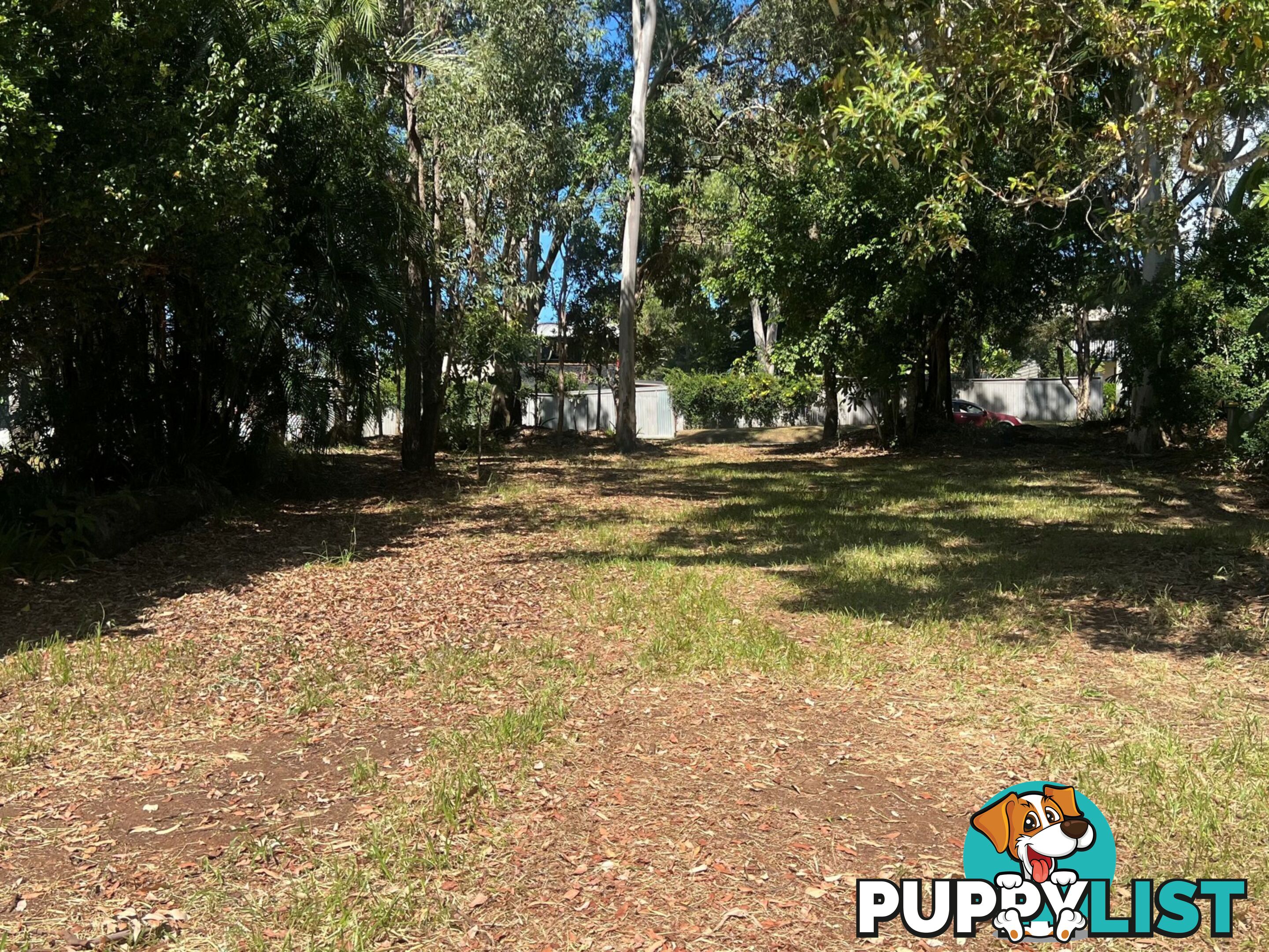 55 High Central Road MACLEAY ISLAND QLD 4184
