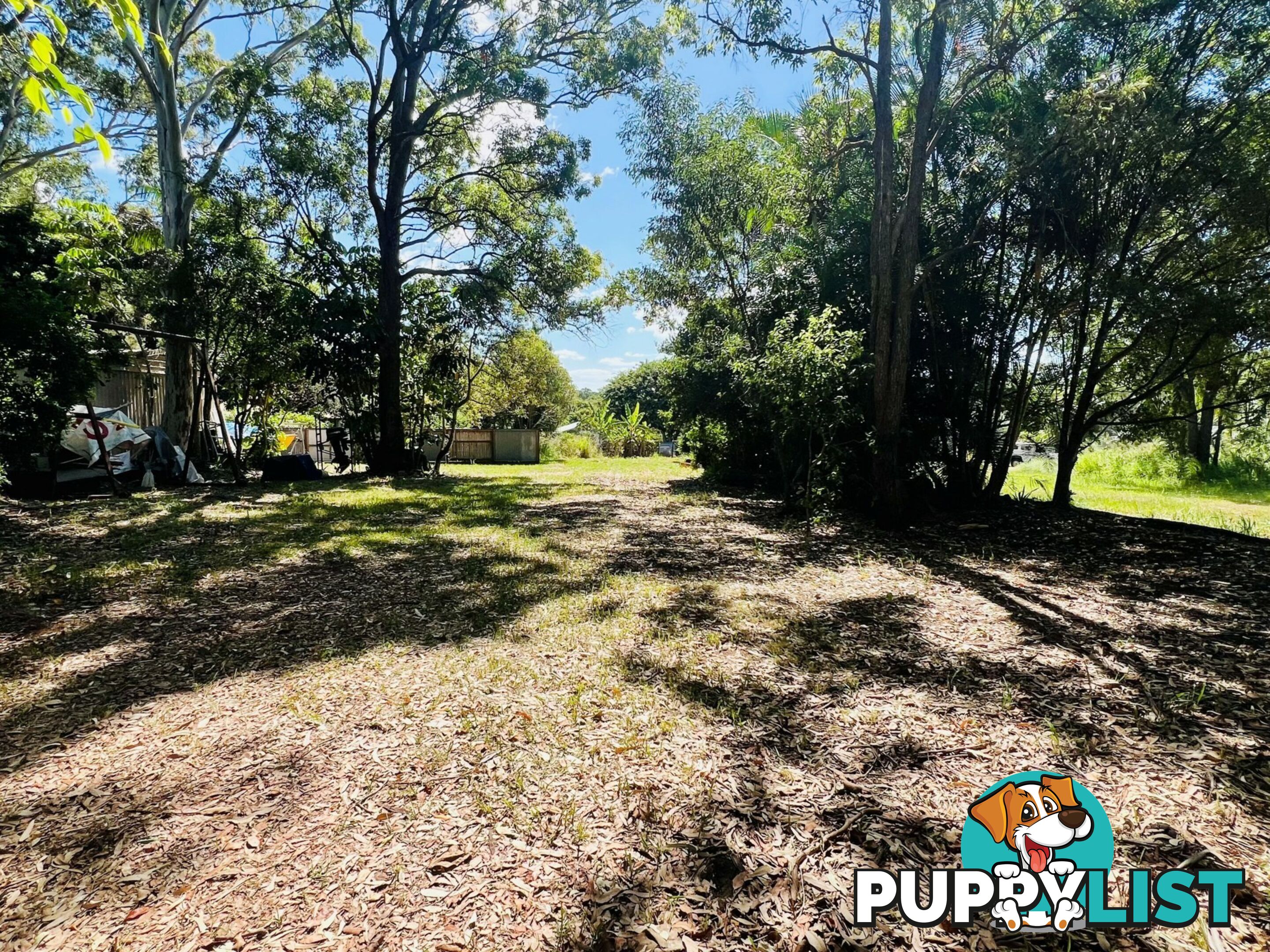 55 High Central Road MACLEAY ISLAND QLD 4184