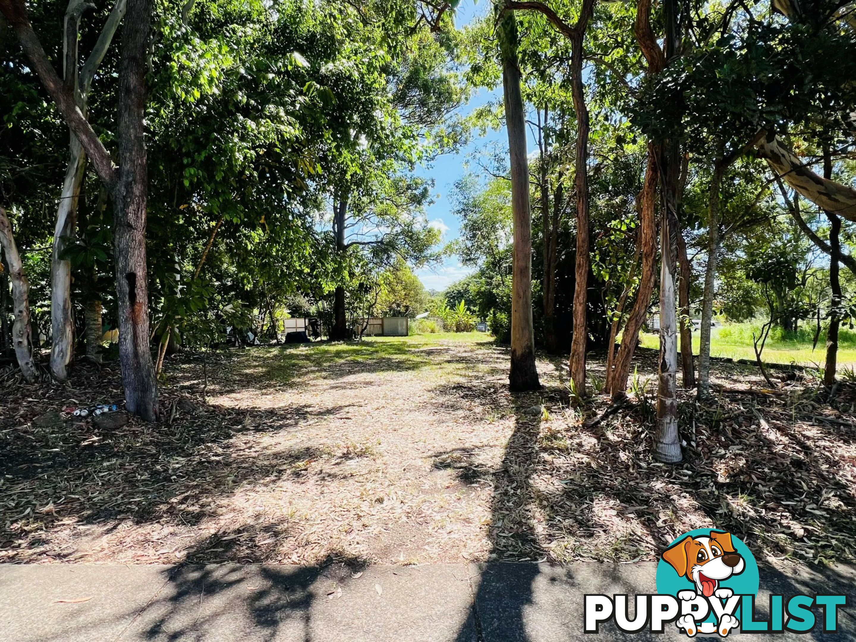 55 High Central Road MACLEAY ISLAND QLD 4184