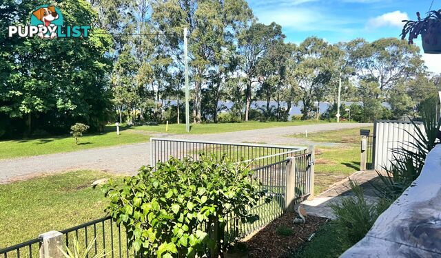 66 Eastbourne Terrace MACLEAY ISLAND QLD 4184