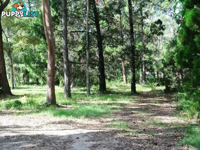 6 Ibis Street MACLEAY ISLAND QLD 4184