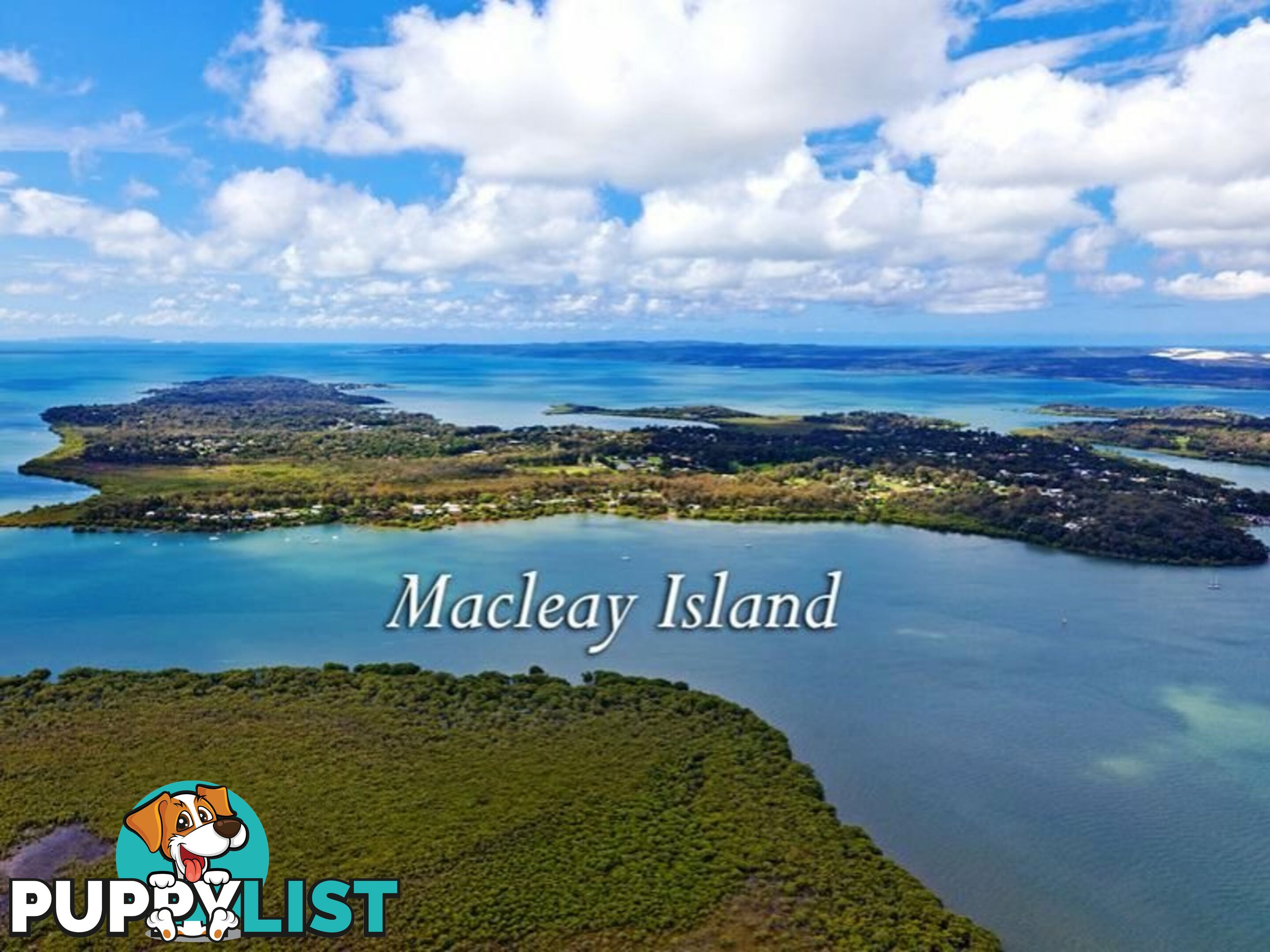 6 Ibis Street MACLEAY ISLAND QLD 4184