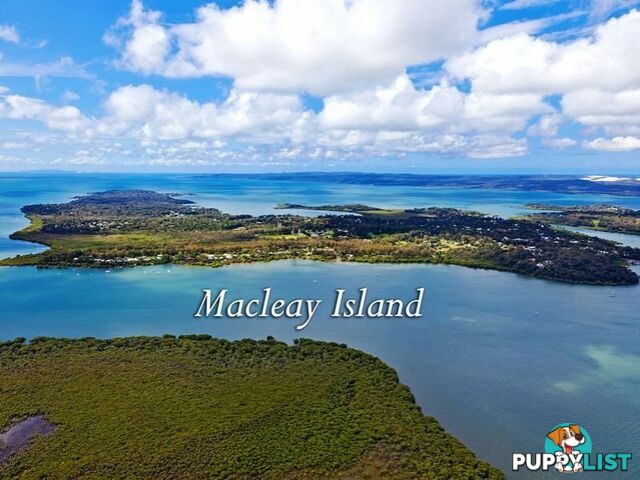 6 Ibis Street MACLEAY ISLAND QLD 4184