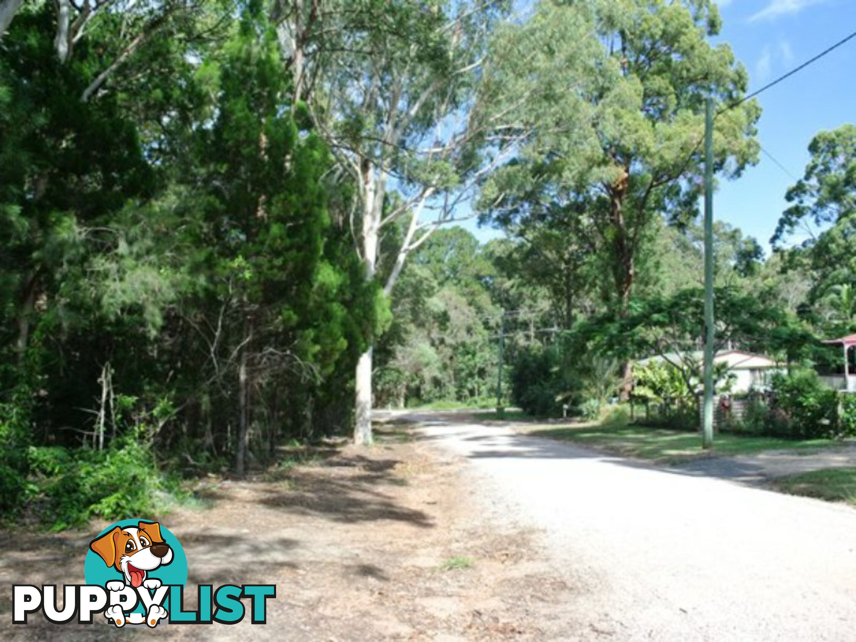 6 Ibis Street MACLEAY ISLAND QLD 4184