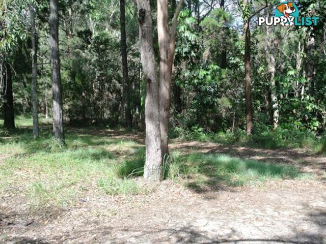 6 Ibis Street MACLEAY ISLAND QLD 4184