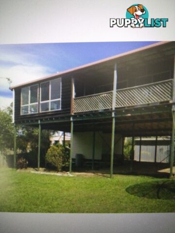 42 Francis Street MACLEAY ISLAND QLD 4184