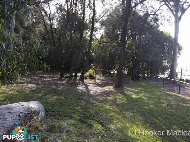 67 Coondooroopa Drive MACLEAY ISLAND QLD 4184